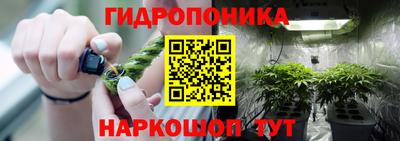 каннабис Берёзовский