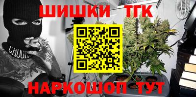 дживик Бийск