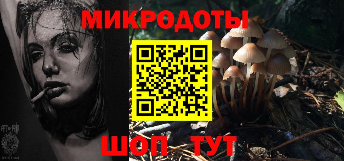 Псилоцибиновые грибы Cubensis Каспийск
